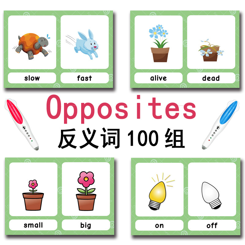 100 Gruppi di Carte Flash con  - Kids Educational Resources recensione e prezzo