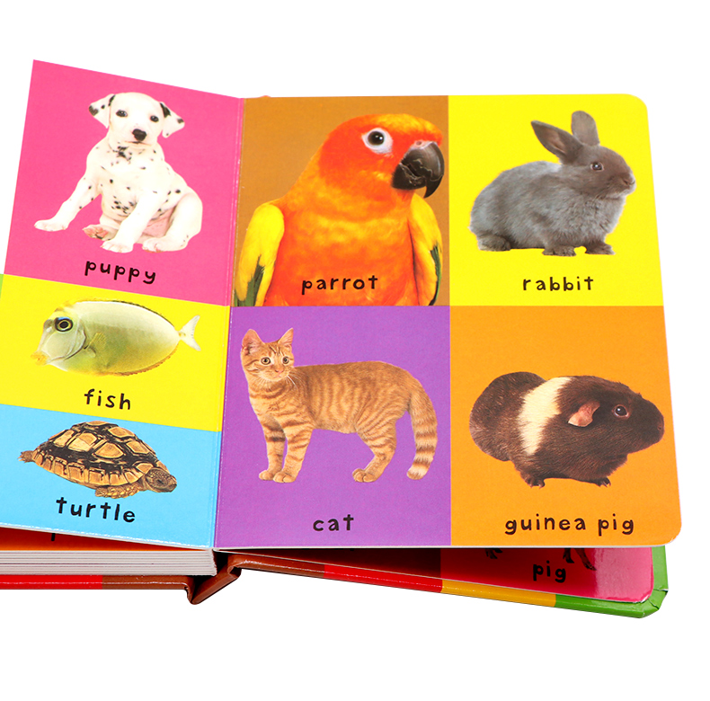 Libro illustrato con le prime  - Sight Word Game recensione e prezzo