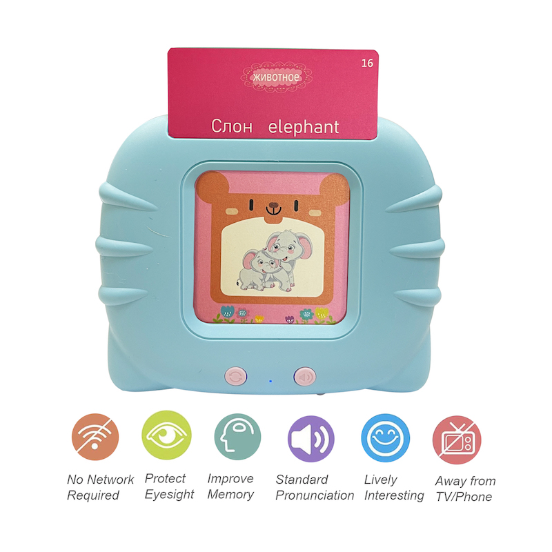 Inglese russo che prende le ca - Flash Card Alphabet recensione e prezzo